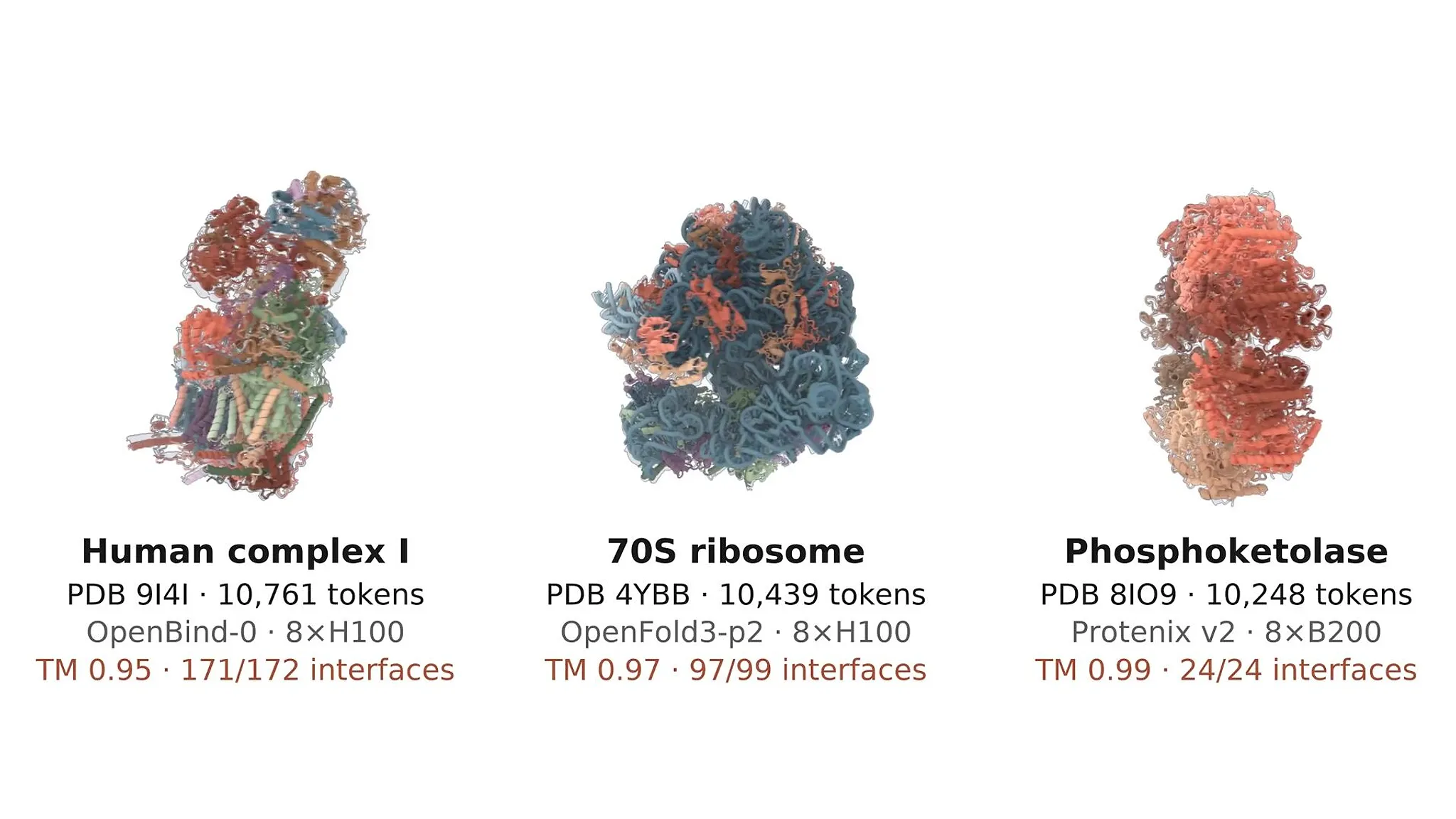Anthropic Releases Optimization Code for Biology Models