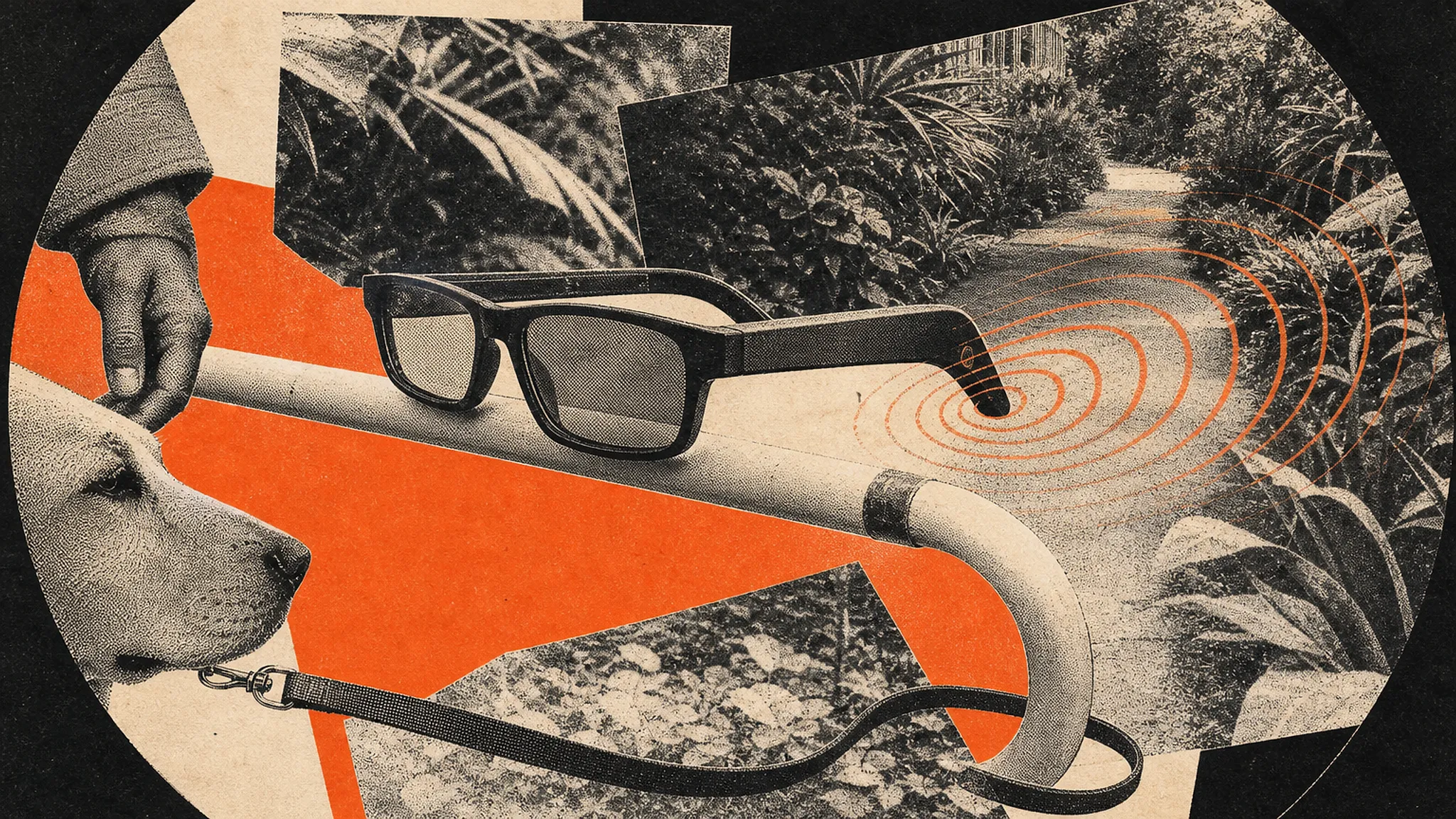 Meta donates AI glasses to Singapore disability groups